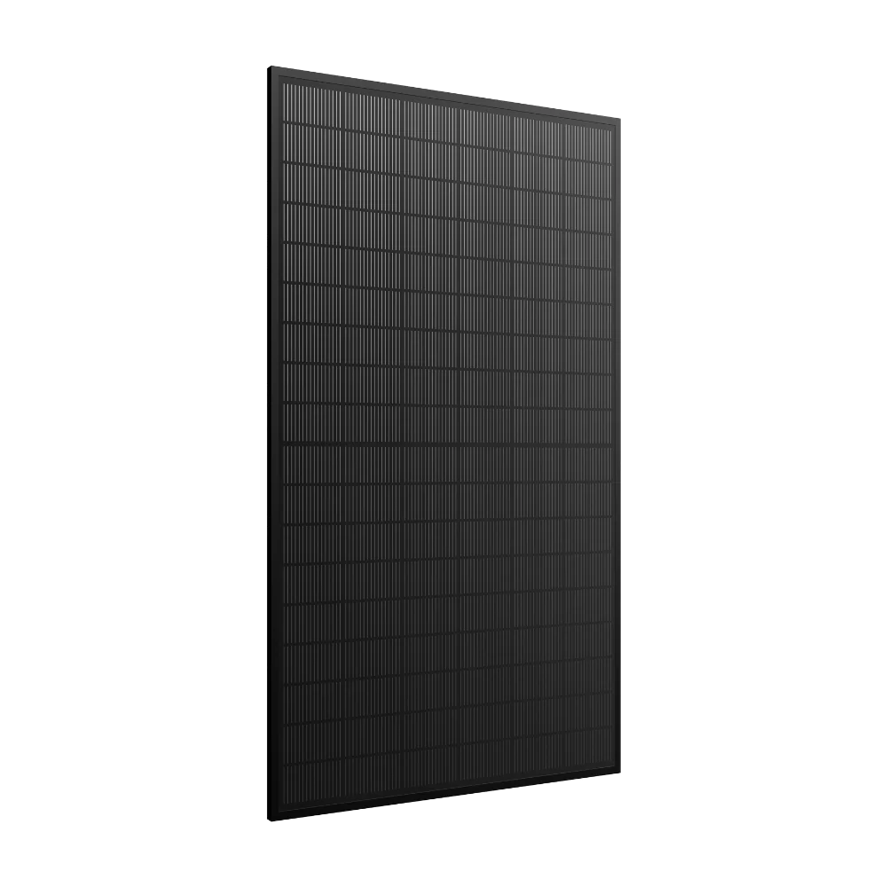 Miniature 5